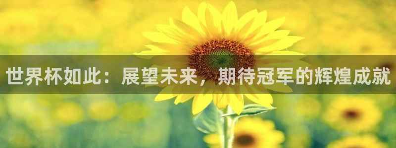 世界杯预选赛亚洲区赛程:世界杯如此:展望未来,期待冠军的辉煌成就