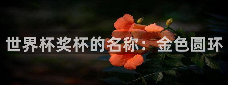 今年的世界杯:世界杯奖杯的名称:金色圆环