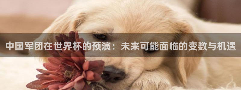 世界杯预选赛欧洲赛区积分榜:中国军团在世界杯的预演:未来可能面临的变数与机遇