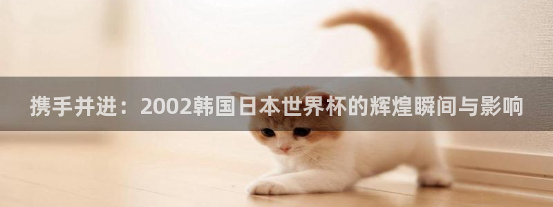 亚洲杯足球:携手并进:2002韩国日本世界杯的辉煌瞬间与影响